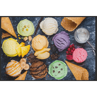 Fussmatte Eis 10455