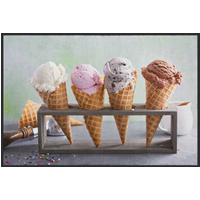 Fussmatte Eis 10457