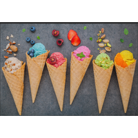 Fussmatte Eis 10463