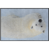 Fussmatte Eisbär 10899