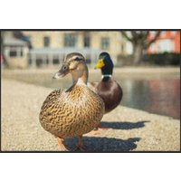 Fussmatte Enten 6246