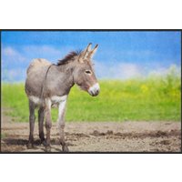 Fussmatte Esel 6062