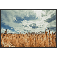 Fussmatte Feld 11099