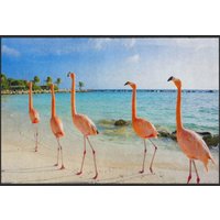 Fussmatte Flamingo 4528