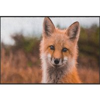 Fussmatte Fuchs 4513