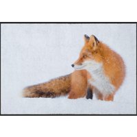 Fussmatte Fuchs 6086