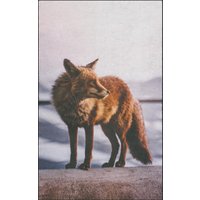 Fussmatte Fuchs 7553