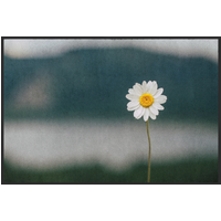 Fussmatte Gänseblümchen 10672