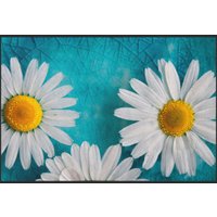 Fussmatte Gänseblümchen 4604