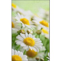 Fussmatte Gänseblümchen 7129