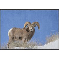 Fussmatte Gaisbock 6208