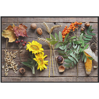 Fussmatte Garten 10997