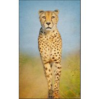 Fussmatte Gepard 7785