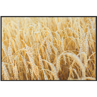 Fussmatte Getreide 10822