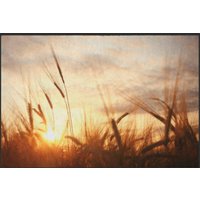 Fussmatte Getreide 6078