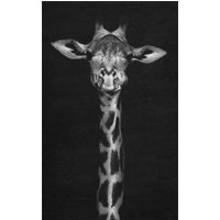Fussmatte Giraffe 7687