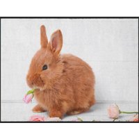 Fussmatte Hase 4945