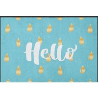 Fussmatte Hello 4046