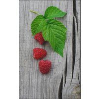 Fussmatte Himbeere 7222