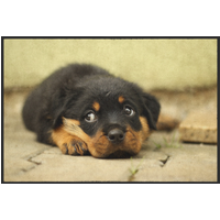 Fussmatte Hund 10396