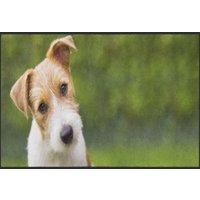 Fussmatte Hund 4541