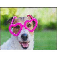Fussmatte Hund 4882