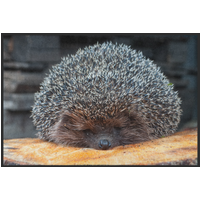 Fussmatte Igel 10912