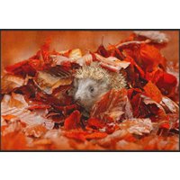 Fussmatte Igel 4533