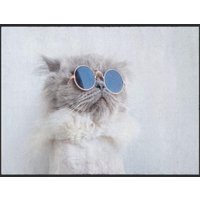 Fussmatte Katze 5001