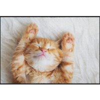 Fussmatte Katze 6068