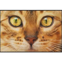 Fussmatte Katze 6259