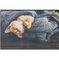 Fussmatte Katze 6266