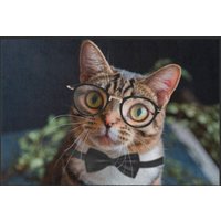 Fussmatte Katze 6307