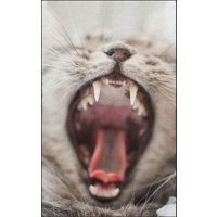 Fussmatte Katze 7309