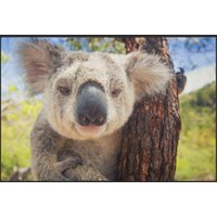 Fussmatte Koala 5085