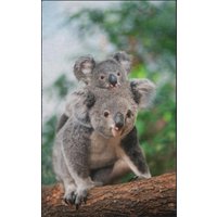 Fussmatte Koala 7629