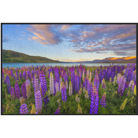Fussmatte Lake Tekapo Neuseeland 10367