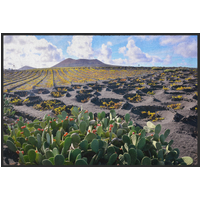 Fussmatte Lanzarote 10368