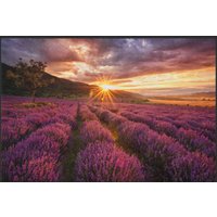 Fussmatte Lavendel 4865