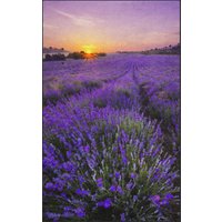 Fussmatte Lavendel 7139