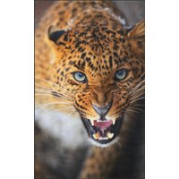 Fussmatte Leopard 7133