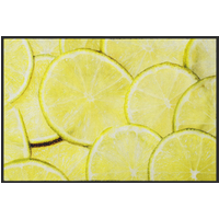 Fussmatte Limette 10370