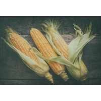 Fussmatte Mais 10764