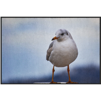 Fussmatte Möwe 10969