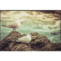Fussmatte Möwe 6327