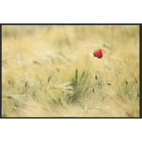 Fussmatte Mohn 10581