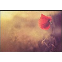 Fussmatte Mohn 6372