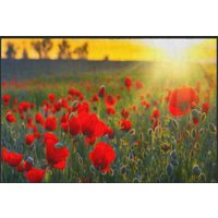 Fussmatte Mohn Feld 4546