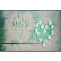 Fussmatte Moin 4579
