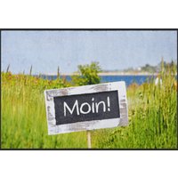 Fussmatte Moin 4759